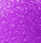 Black Cherry